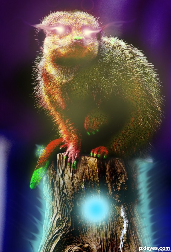 Creation of The All Knowing Meerkat: Step 7
