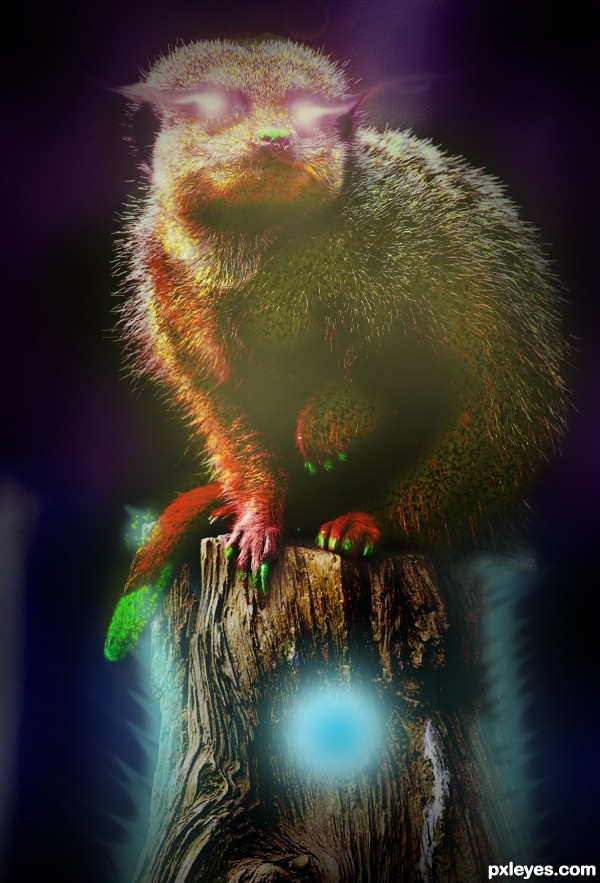 Creation of The All Knowing Meerkat: Step 8