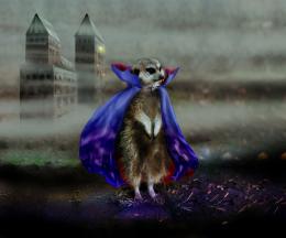 Count Meercula