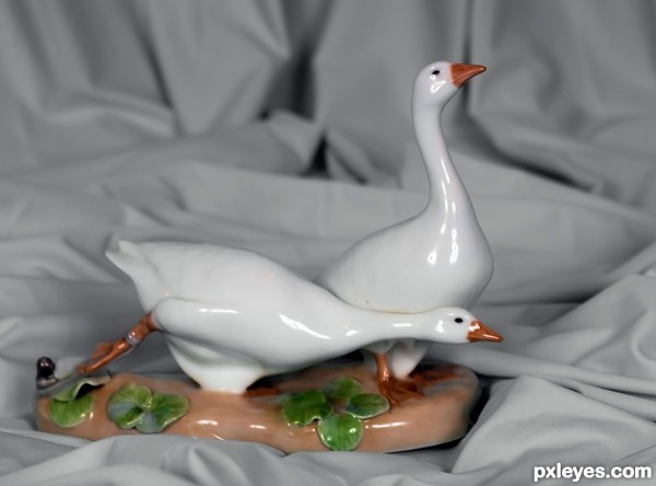 Porcelain Geese