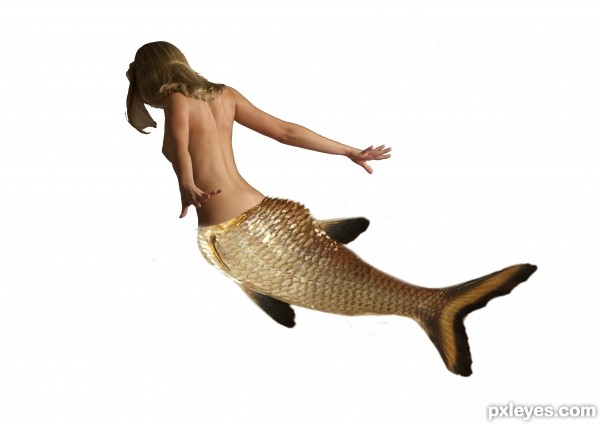 Creation of mermaid island: Step 1