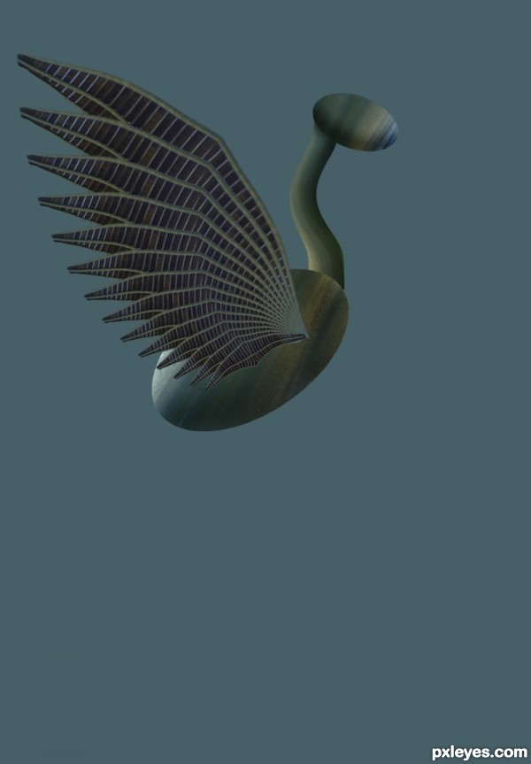 Creation of Exotic Bird: Step 6