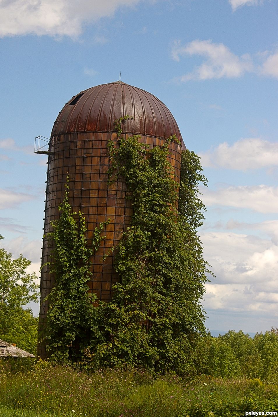 Leaning Tower of...   Corn?