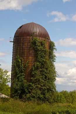 Leaning Tower of...   Corn?