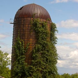 LeaningTowerofCorn