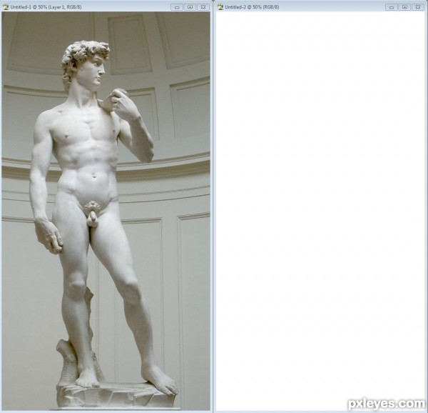 Creation of David-von.Michelangelo: Step 1