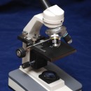 microscope photoshop contest