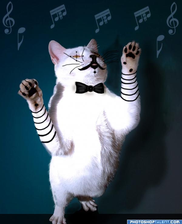Its Cat Mime Conductor