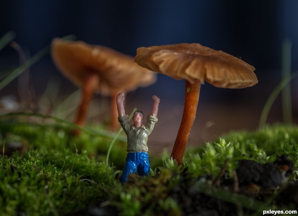Under the mushrooms