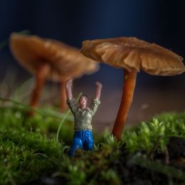 Underthemushrooms