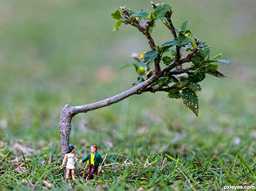 Lovers meeting under a tree.