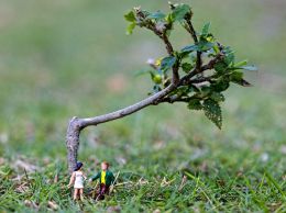 Lovers meeting under a tree.