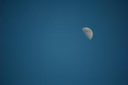 Moon Picture