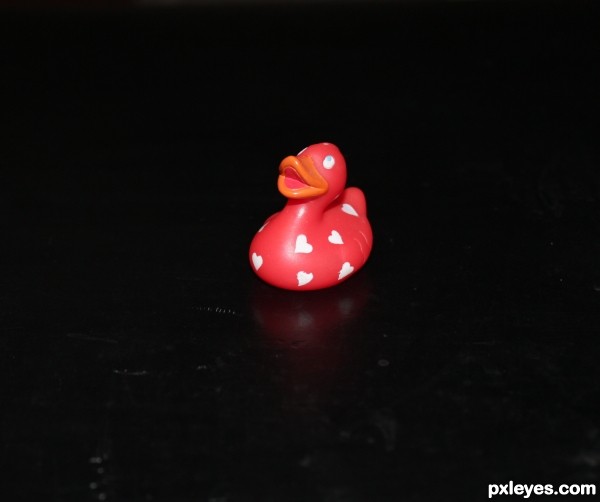 Red Duck