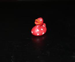 Red Duck