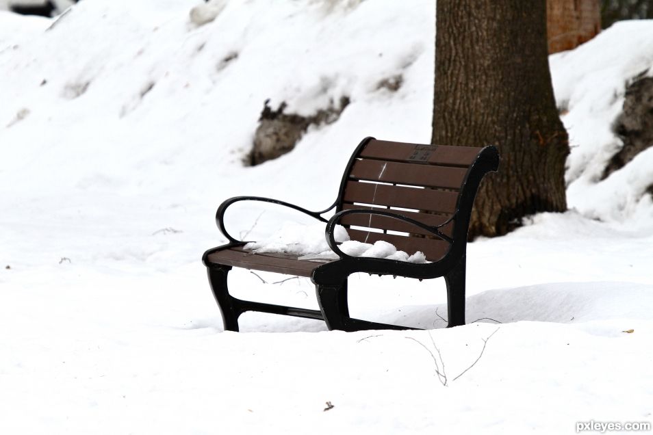 Snow Covered Bench