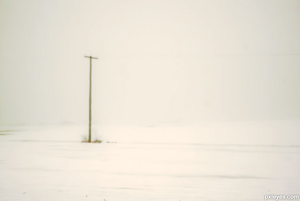 Fog on Snow Covered Field