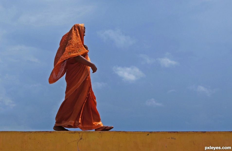 Orange Sari