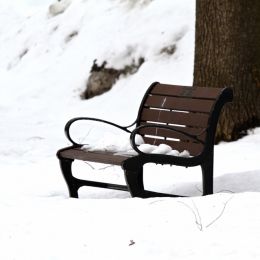 SnowCoveredBench