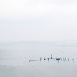 Intheestuary