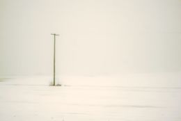 Fog on Snow Covered Field