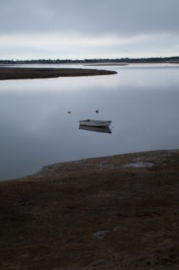Stillness of the Early Morn