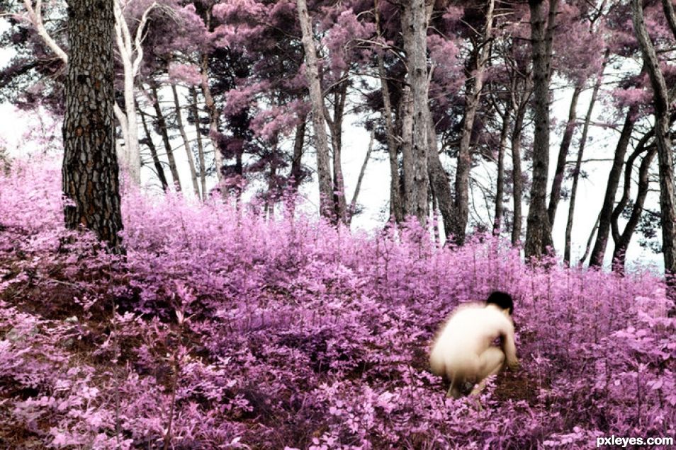 Creation of Spring in infrared: Final Result