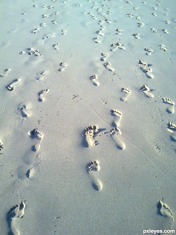 Footsteps in the Sand.