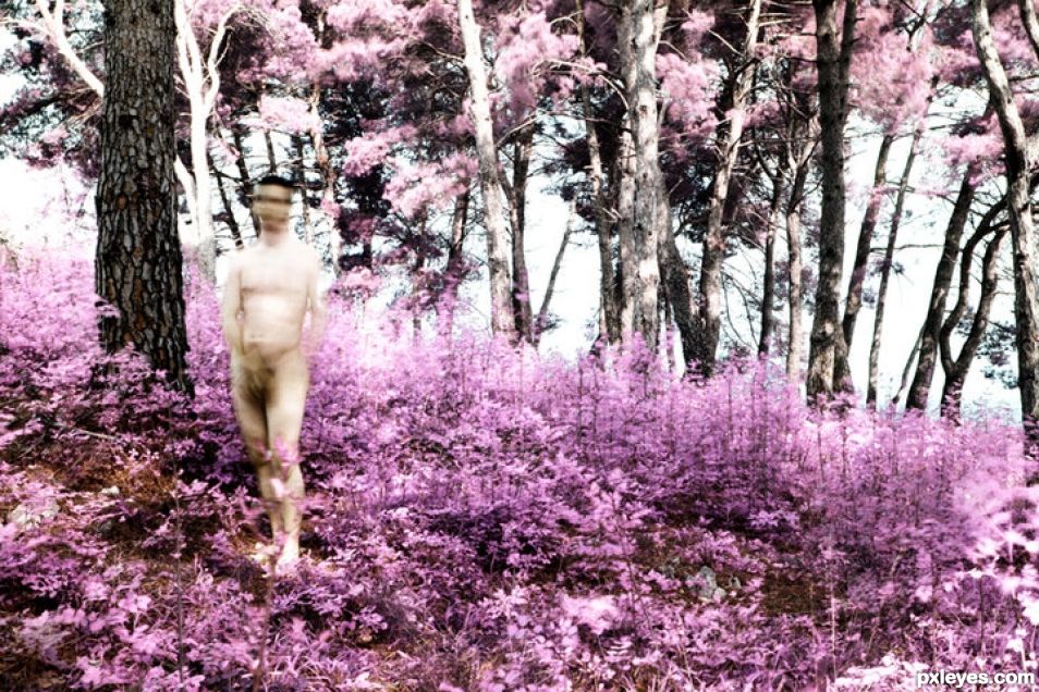 Creation of Spring in infrared: Step 1