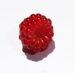 WildRaspberry