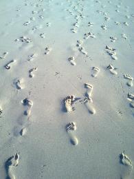 Footsteps in the Sand.