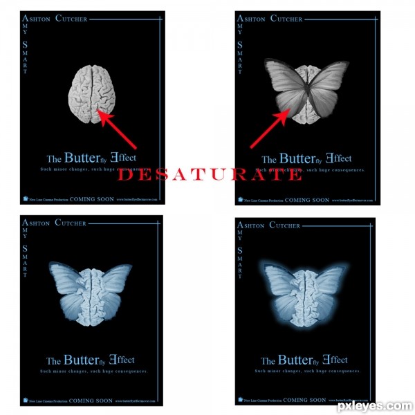 Creation of Butterfly Effect: Step 4