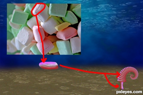 Creation of Ancient Sea: Step 9