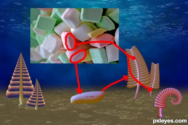 Creation of Ancient Sea: Step 11