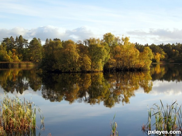 Autumn Lake