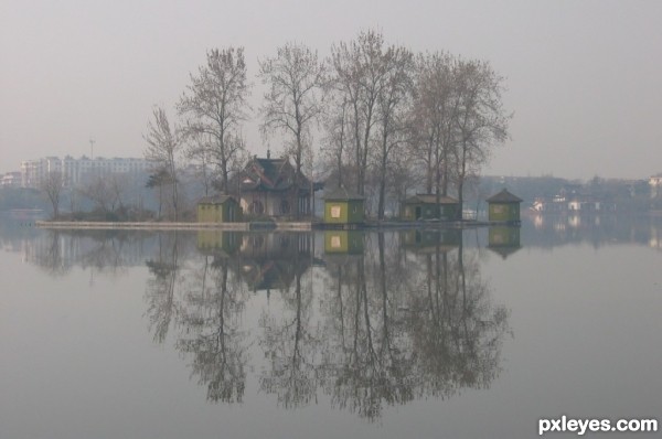 Trees on water