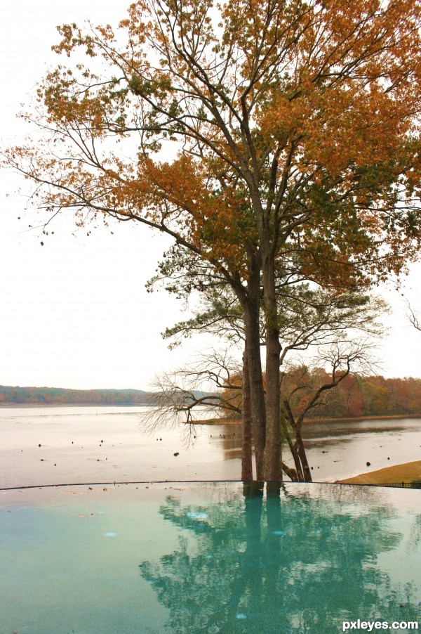 reflection in pool