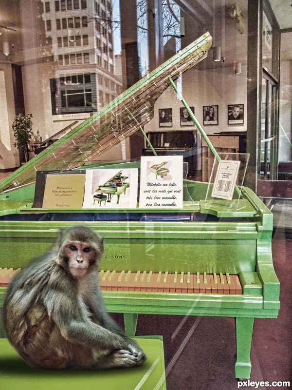 some say monkeys play piano