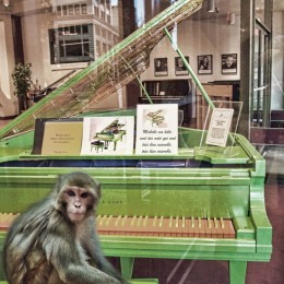 some say monkeys play piano