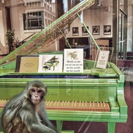 somesaymonkeysplaypiano