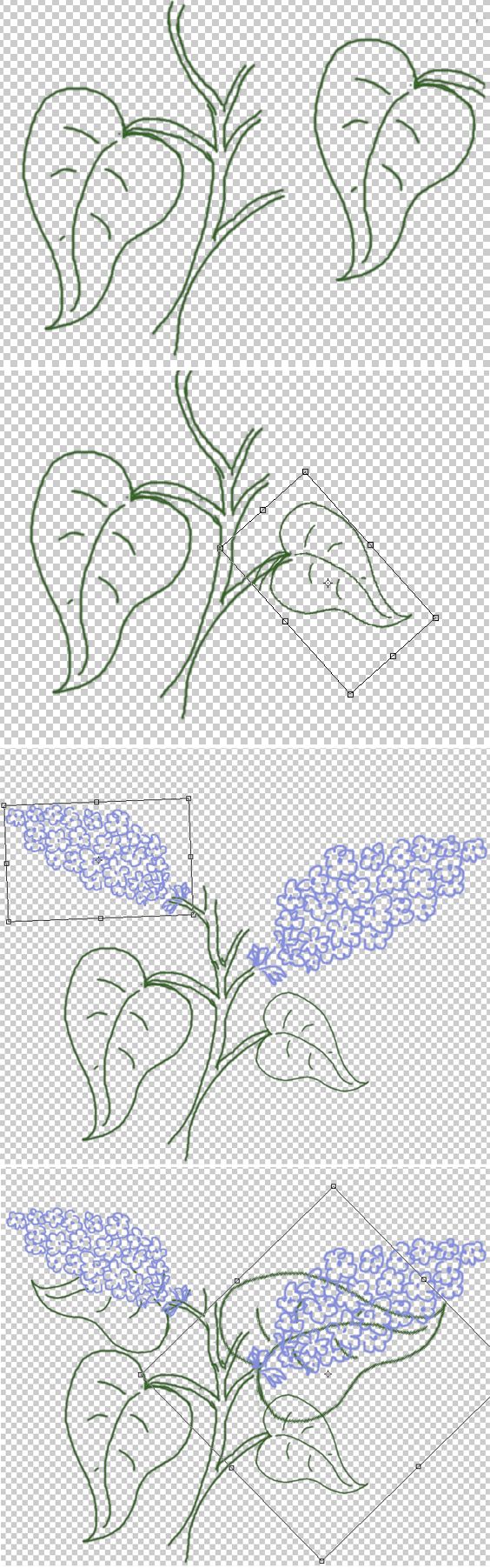 Creation of Syringa - Lilac: Step 1