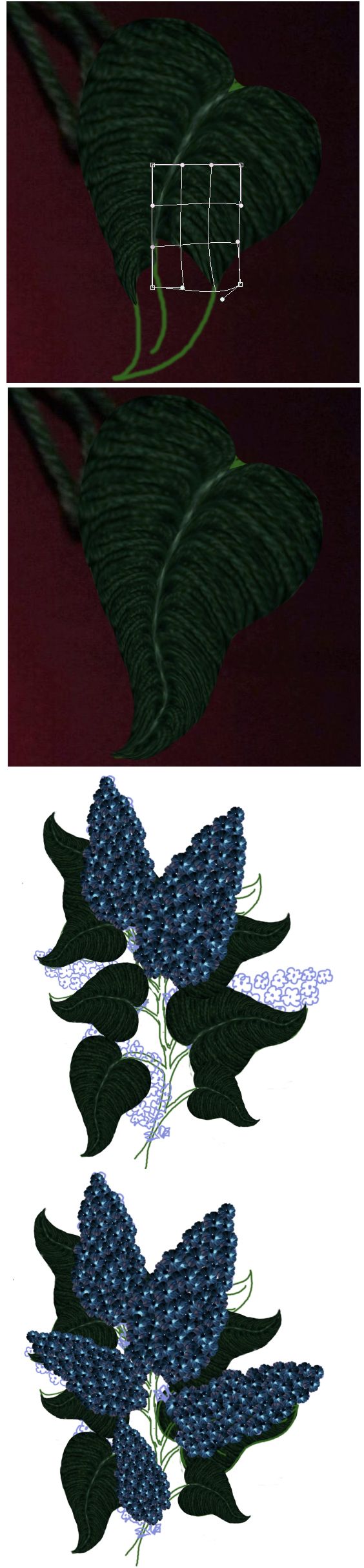 Creation of Syringa - Lilac: Step 5