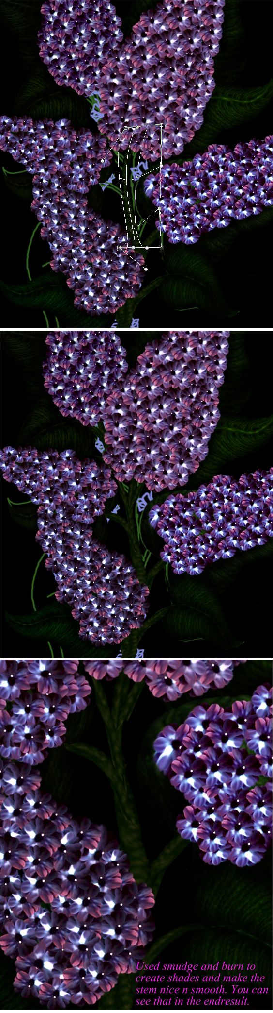 Creation of Syringa - Lilac: Step 8