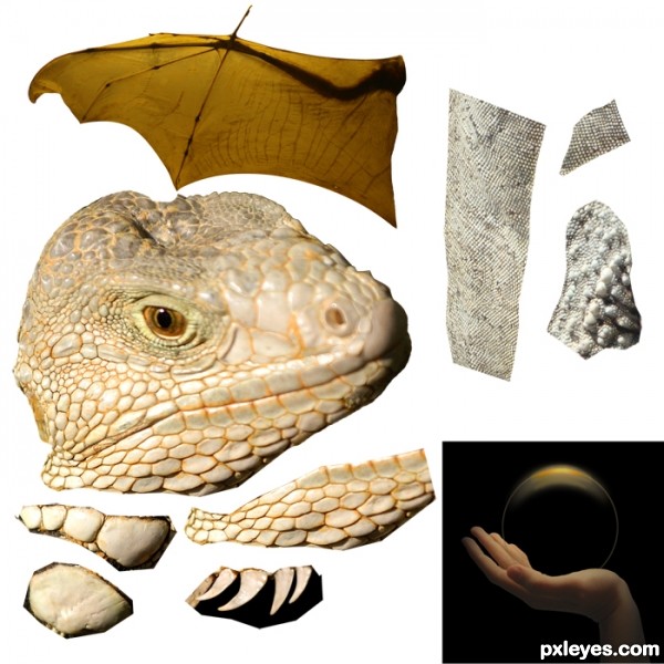 Creation of Specimen No. 35: Step 1