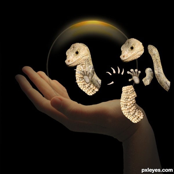 Creation of Specimen No. 35: Step 2