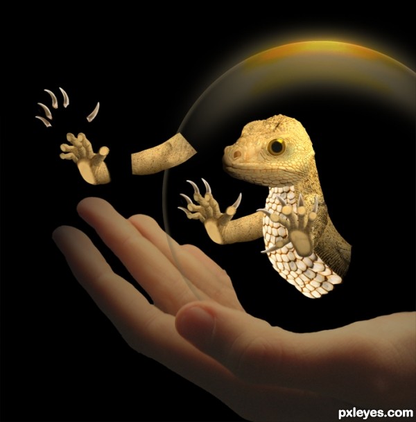 Creation of Specimen No. 35: Step 3