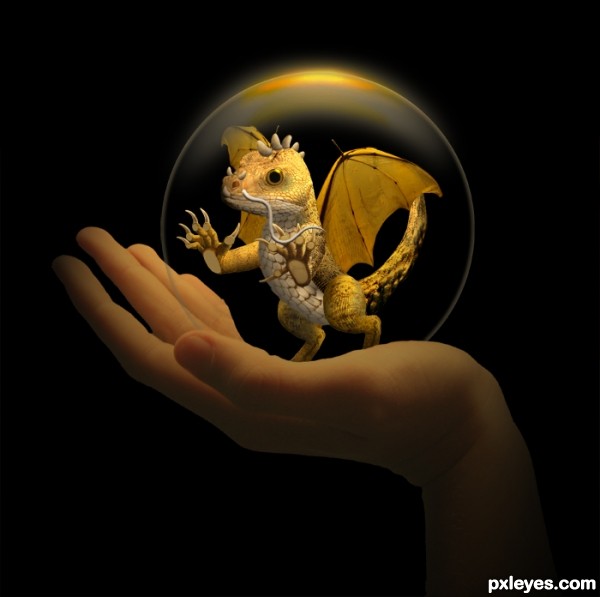 Creation of Specimen No. 35: Step 5