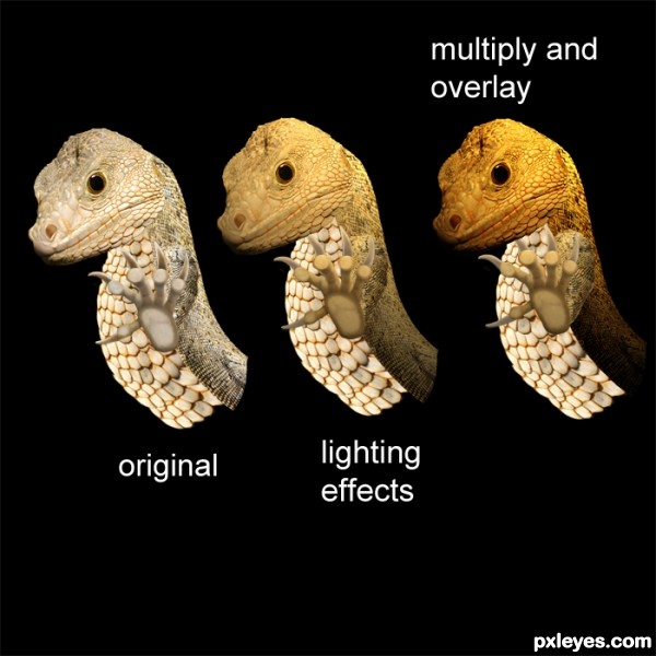 Creation of Specimen No. 35: Step 10