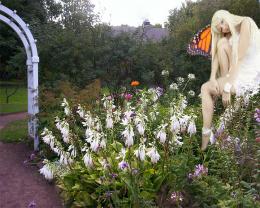 White Fairy in Garden