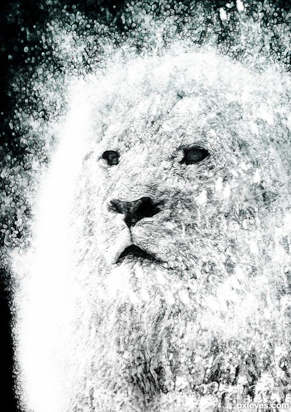 Creation of Water Lion: Final Result